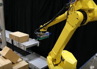 China Robot het Palletiseren Systeem/Automatische Palletizer-Machine voor Bladmaterialen het Stapelen bedrijf