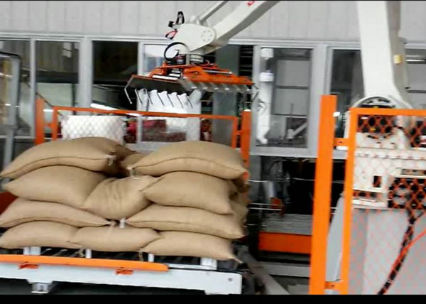 Automatic Robotic Palletizer For Logsitics System / FMCG / Food Beverage