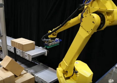 China Robot het Palletiseren Systeem/Automatische Palletizer-Machine voor Bladmaterialen het Stapelen verdeler