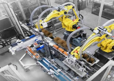 China De volledig Geautomatiseerde Verpakkende Machine van de Kartondoos/het Inpakken van Lijn voor Detergentia en het Schoonmaken fabriek